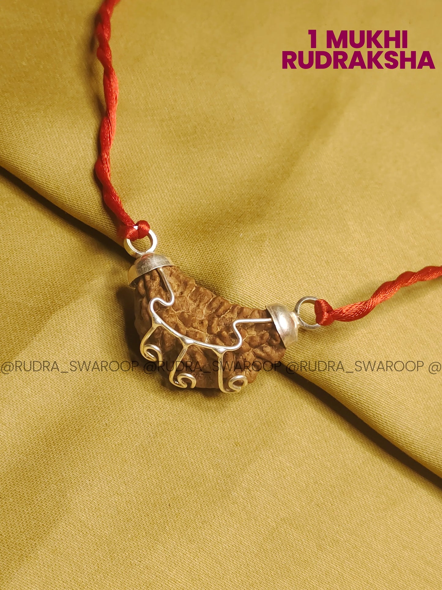 1 Mukhi South Indian Rudraksha (Kaju shape)