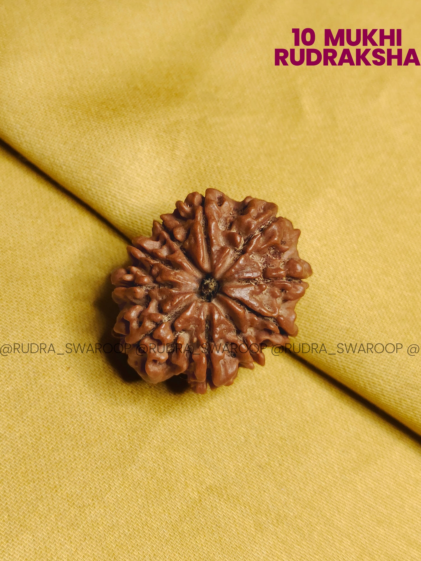 10 Mukhi Rudraksha
