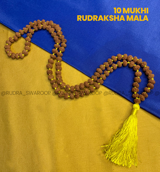 10 Mukhi Rudraksha Mala in Premium Quality