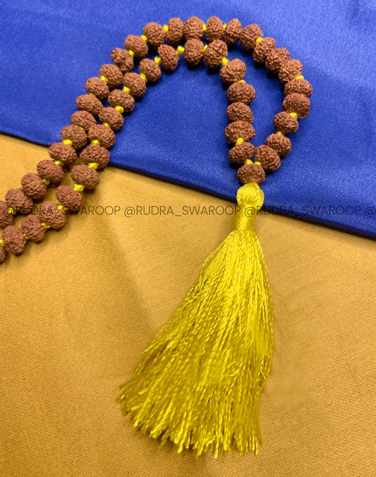 10 Mukhi Rudraksha Mala in Premium Quality