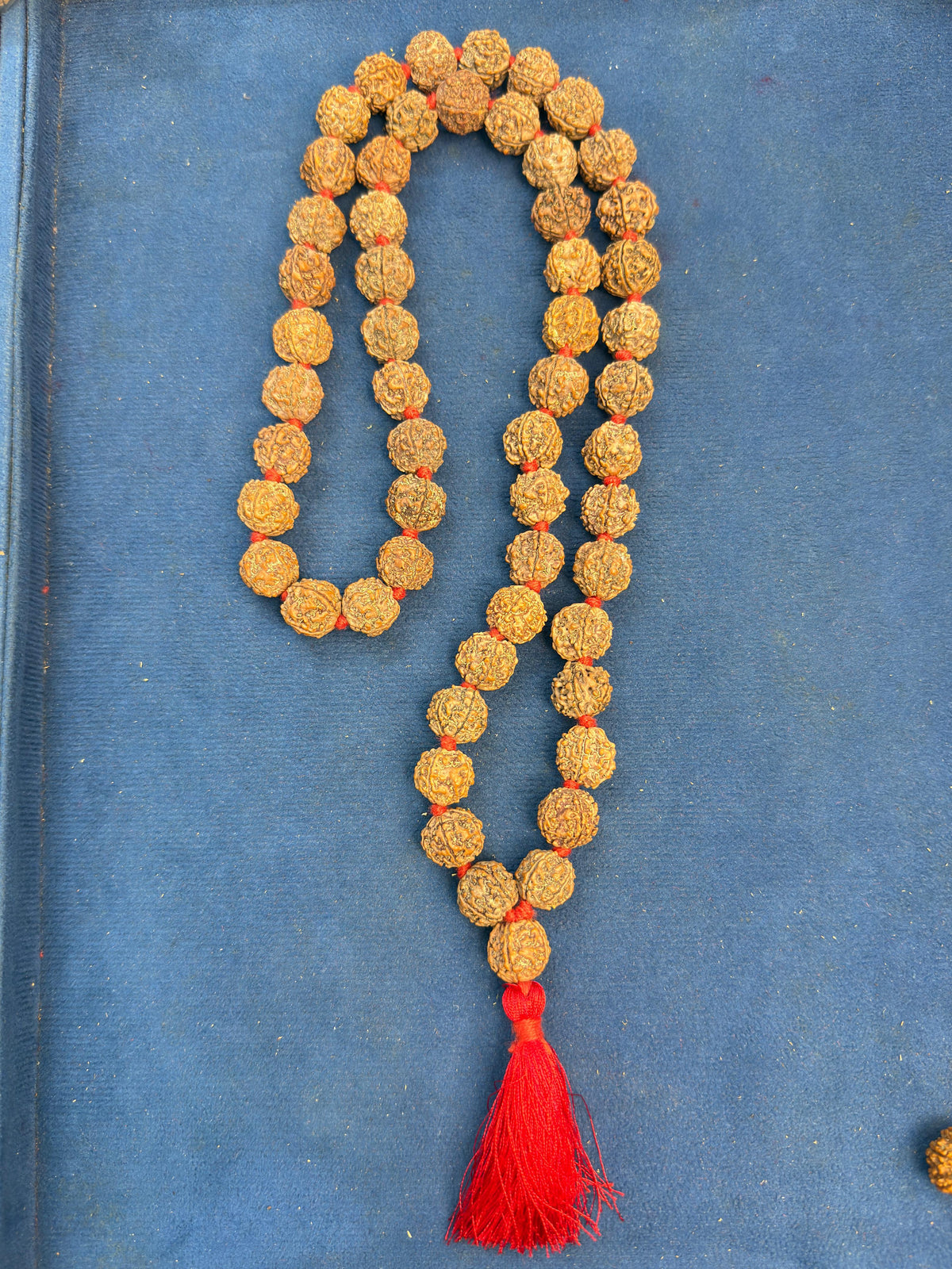 7 Mukhi Nepali Kantha mala 54+1 beads with certification and xray