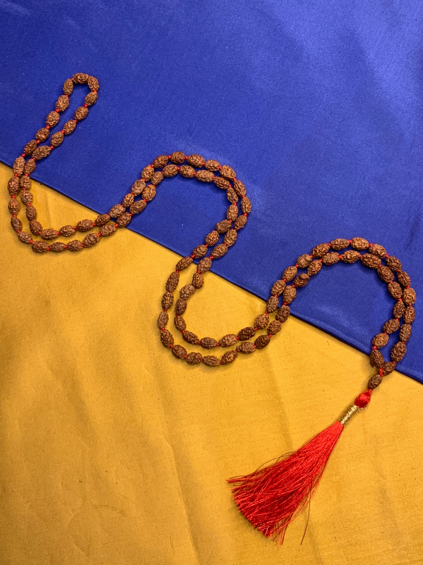 2 Mukhi Rudraksha Mala in Premium Quality