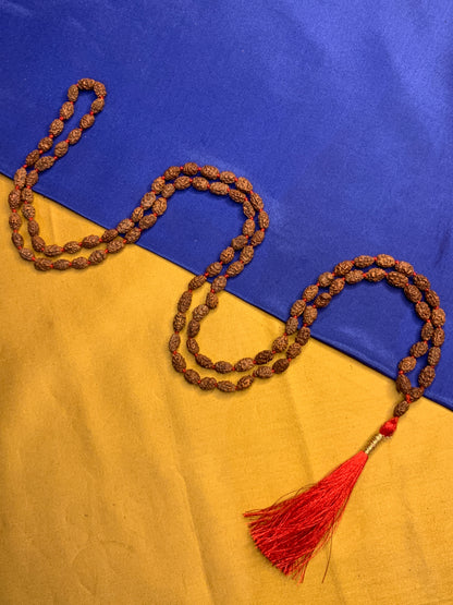2 Mukhi Rudraksha Mala in Premium Quality