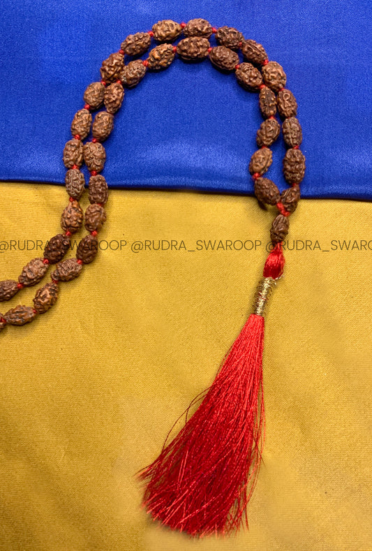2 Mukhi Rudraksha Mala in Premium Quality