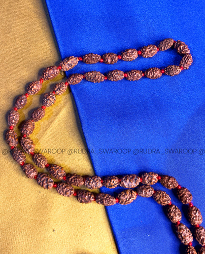 1 Mukhi Rudraksha Mala in Premium Quality