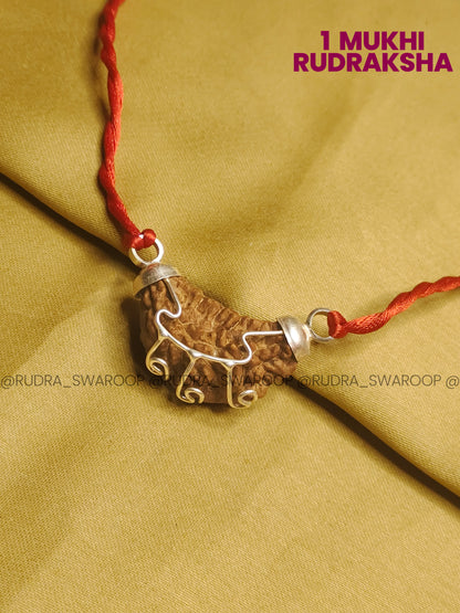 1 Mukhi South Indian Rudraksha (Kaju shape)