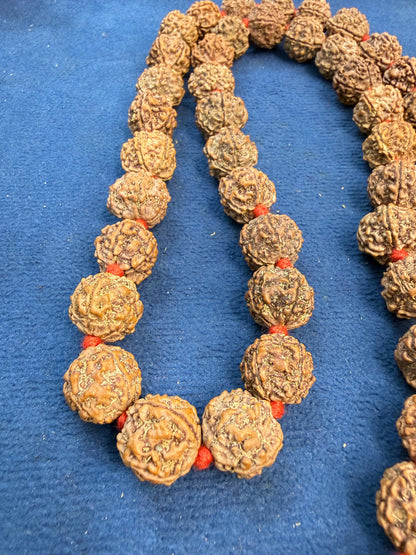 7 Mukhi Nepali Kantha mala 54+1 beads with certification and xray