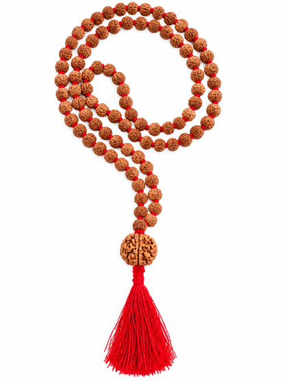 7 mukhi nepali with 5 mukhi indonesian rudraksha Mala