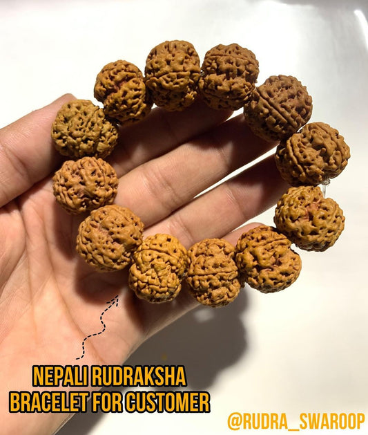 5 Mukhi Nepali Rudraksha Braclet