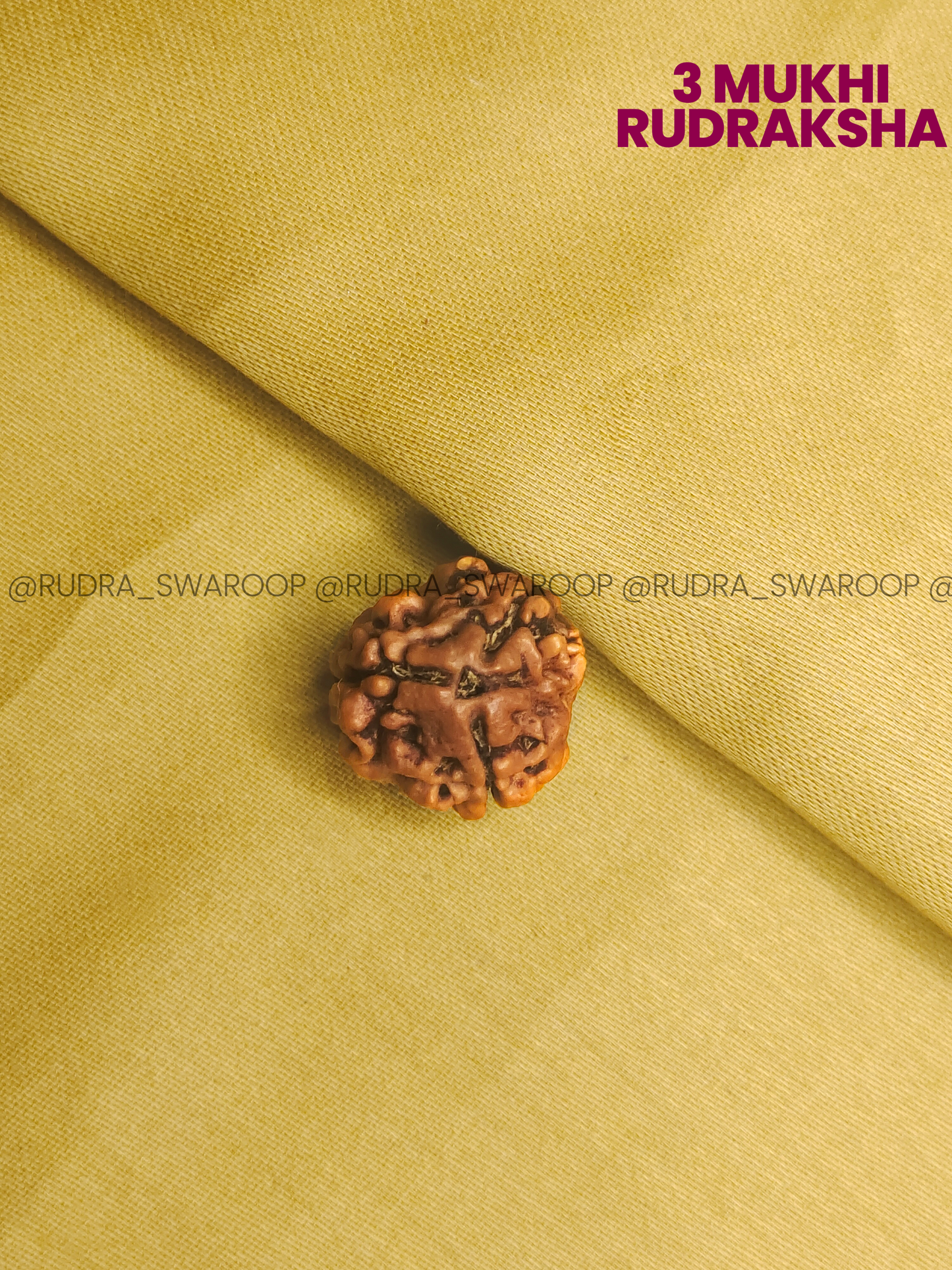 3 Mukhi Nepali Rudraksha