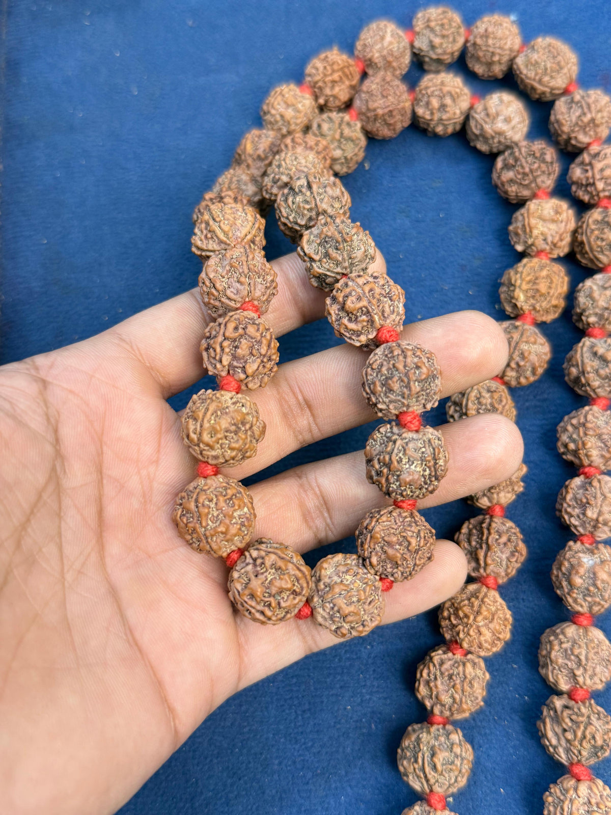 7 Mukhi Nepali Kantha mala 54+1 beads with certification and xray