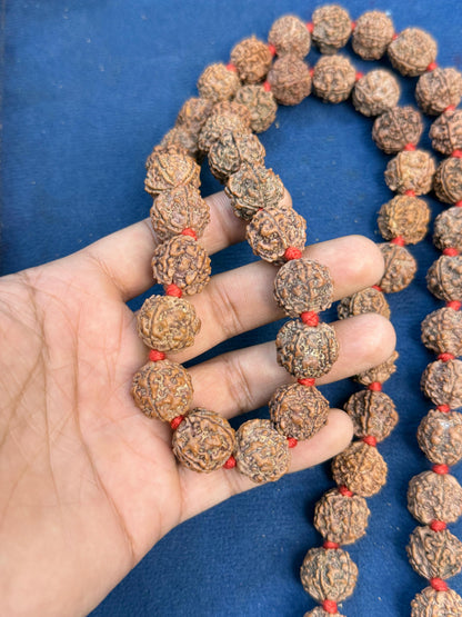 7 Mukhi Nepali Kantha mala 54+1 beads with certification and xray