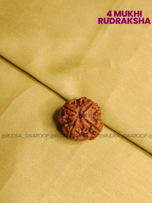 4 Mukhi Nepali Rudraksha