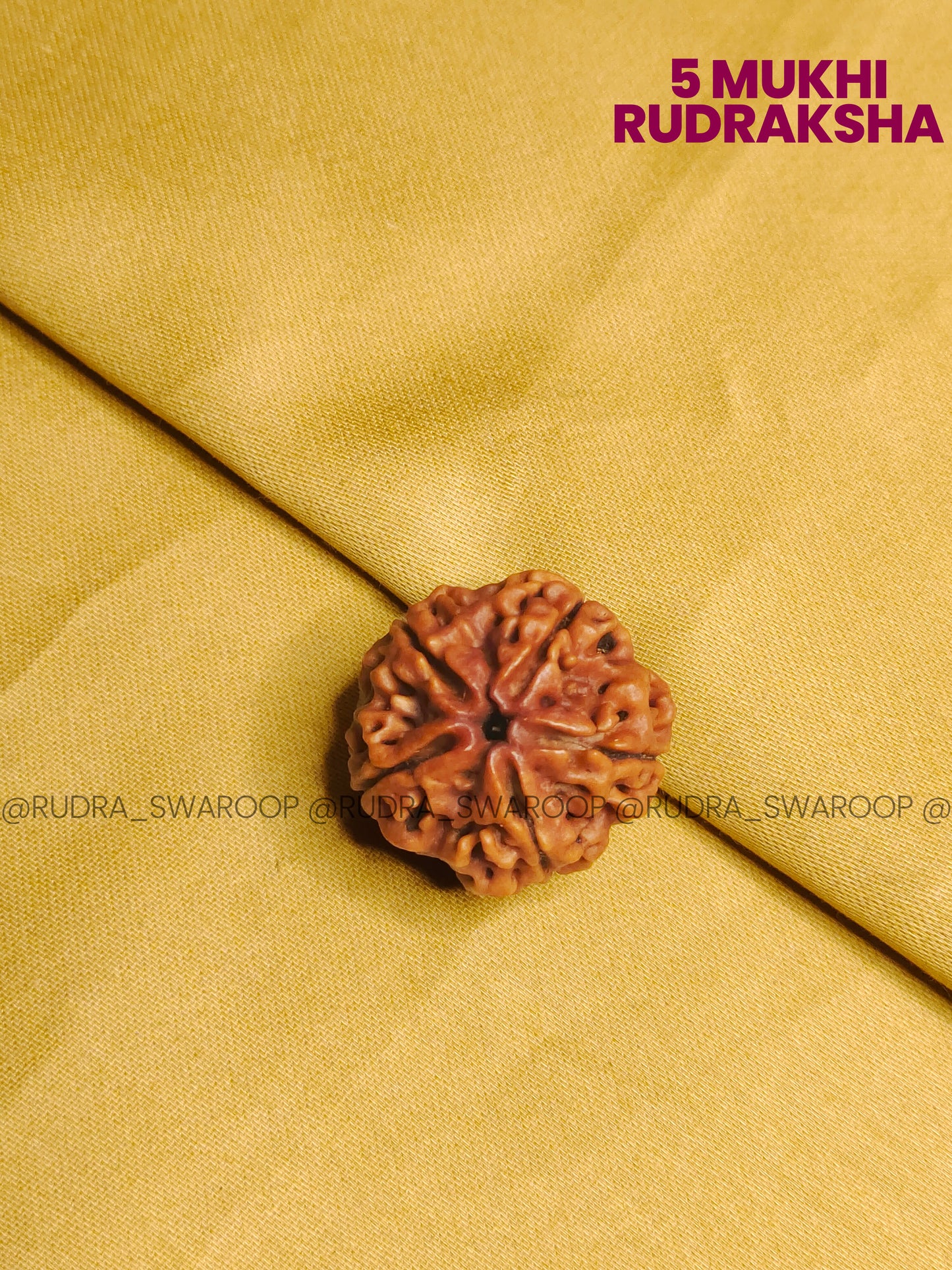 5 Mukhi Rudraksha