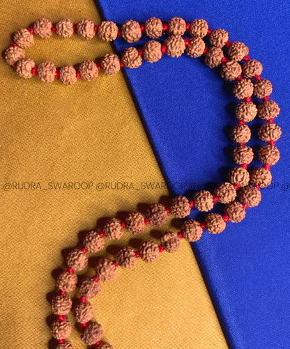 5 Mukhi mala in 6mm in Premium Quality