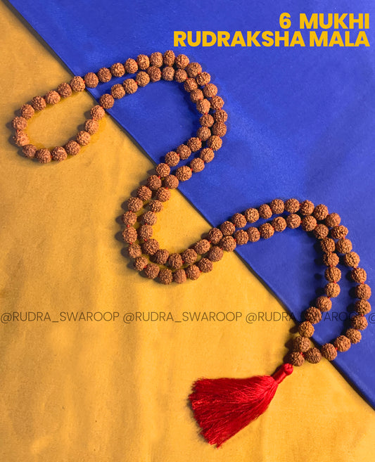 6 Mukhi Rudraksha Mala in Premium Quality