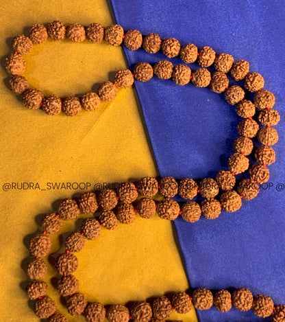 7 Mukhi Rudraksha Mala in Premium Quality