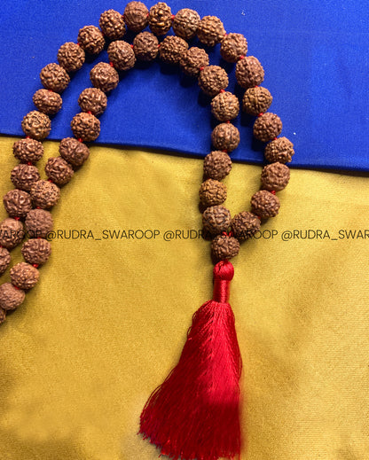 6 Mukhi Rudraksha Mala in Premium Quality