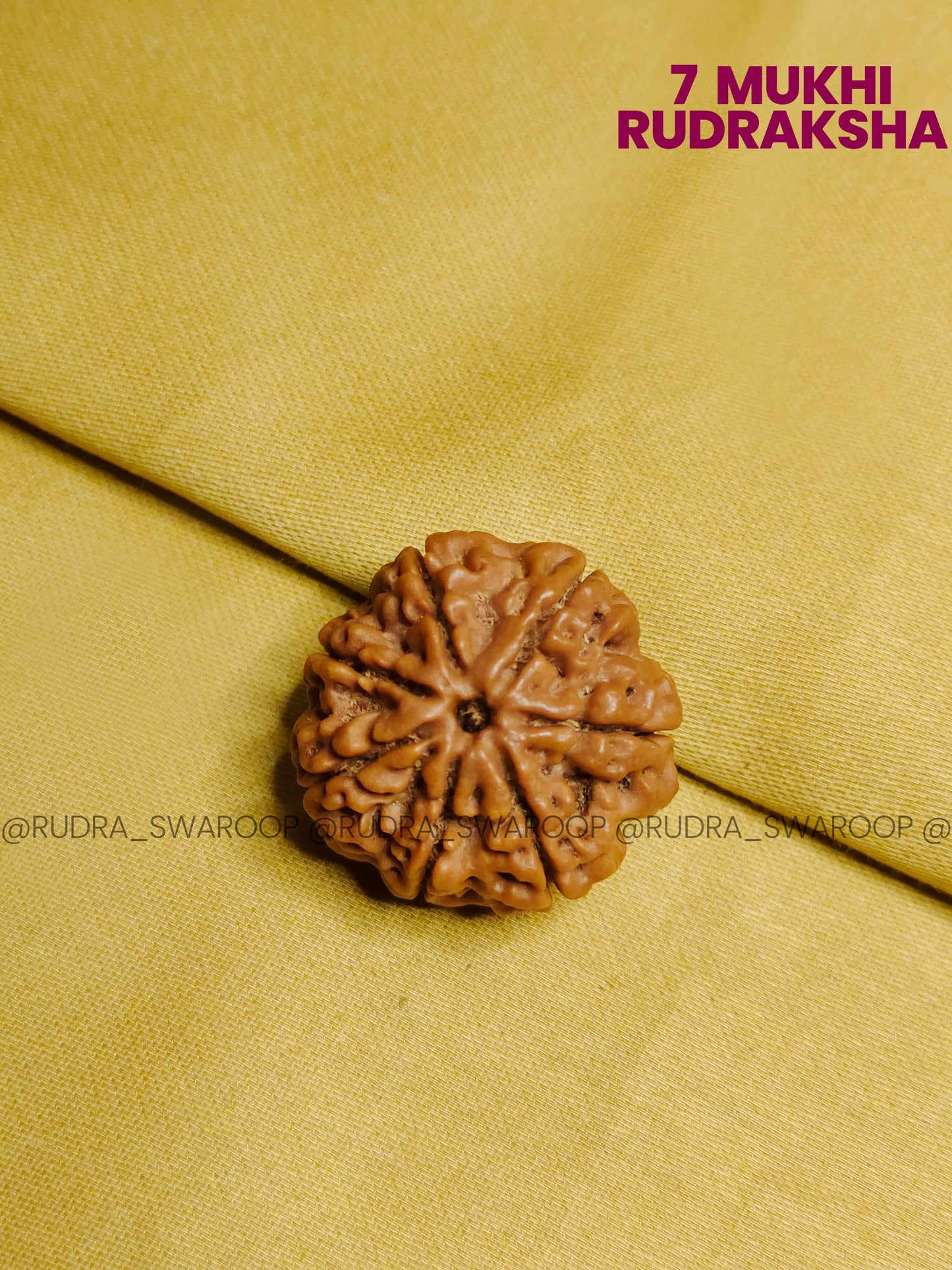 7 Mukhi Rudraksha