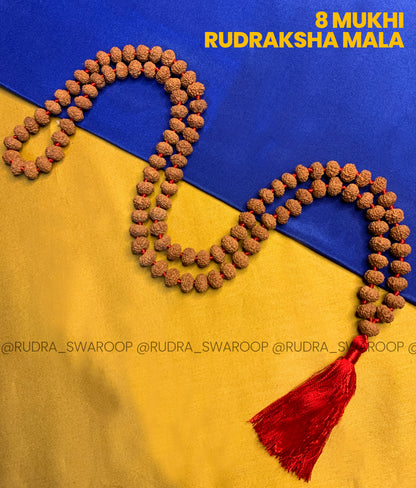 8 Mukhi Rudraksha mala in Premium Quality