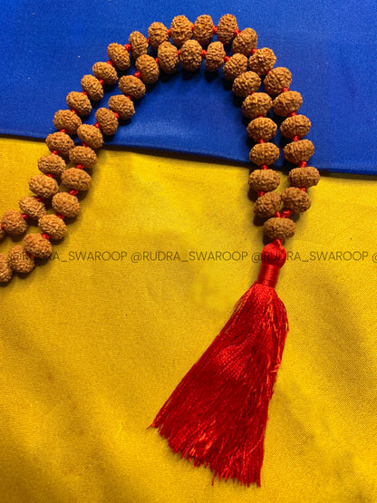 8 Mukhi Rudraksha mala in Premium Quality