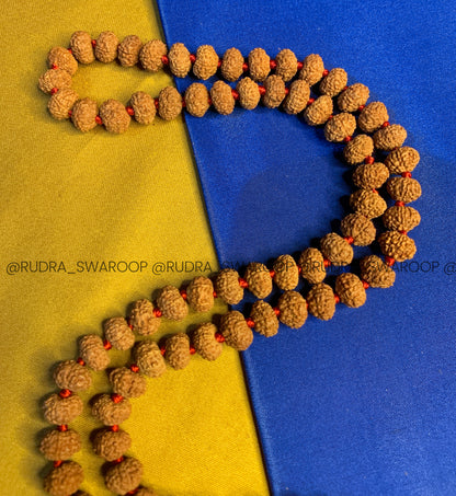 10 Mukhi Rudraksha Mala in Premium Quality