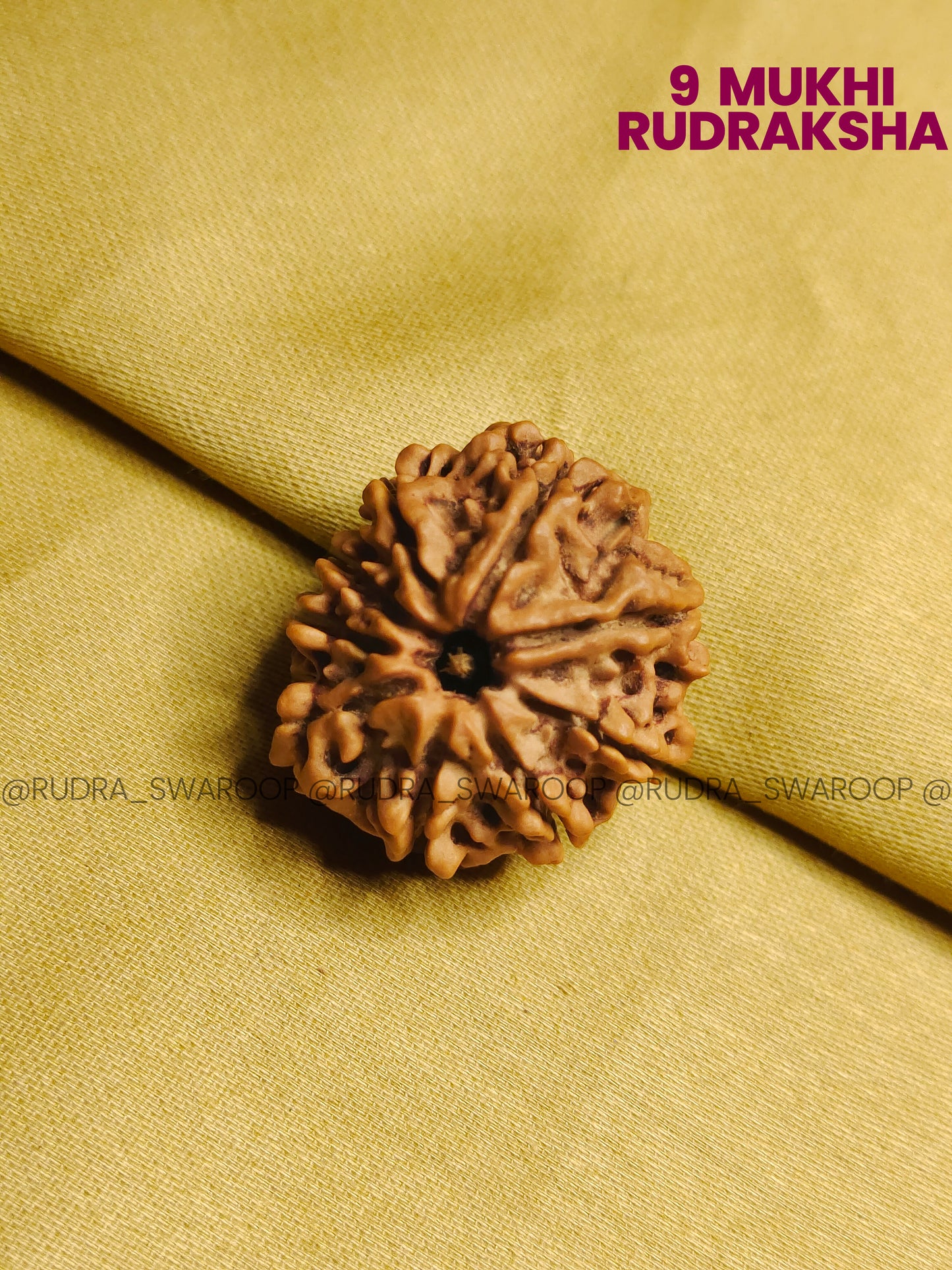 9 Mukhi Rudraksha