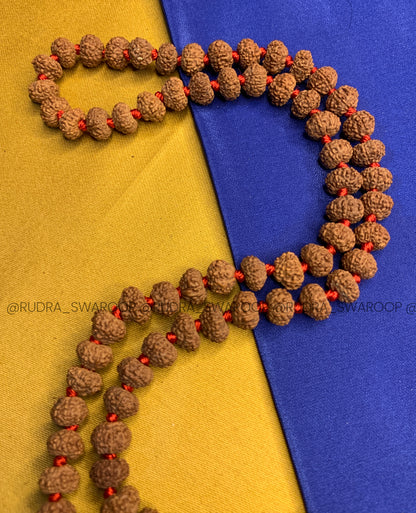 9 Mukhi Rudraksha Mala in Premium Quality
