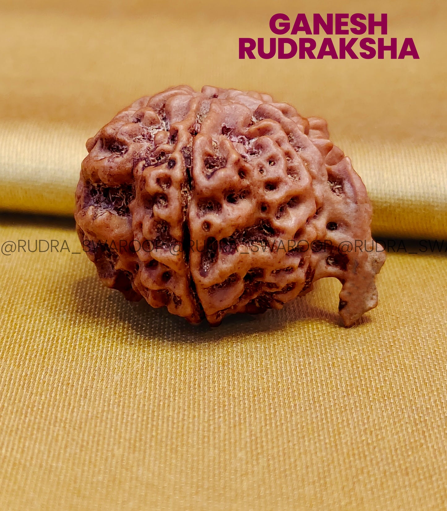 Ganesh Rudraksha