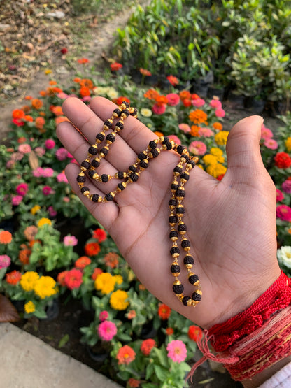 Black 5 Mukhi Gold Plated Rudraksha Mala