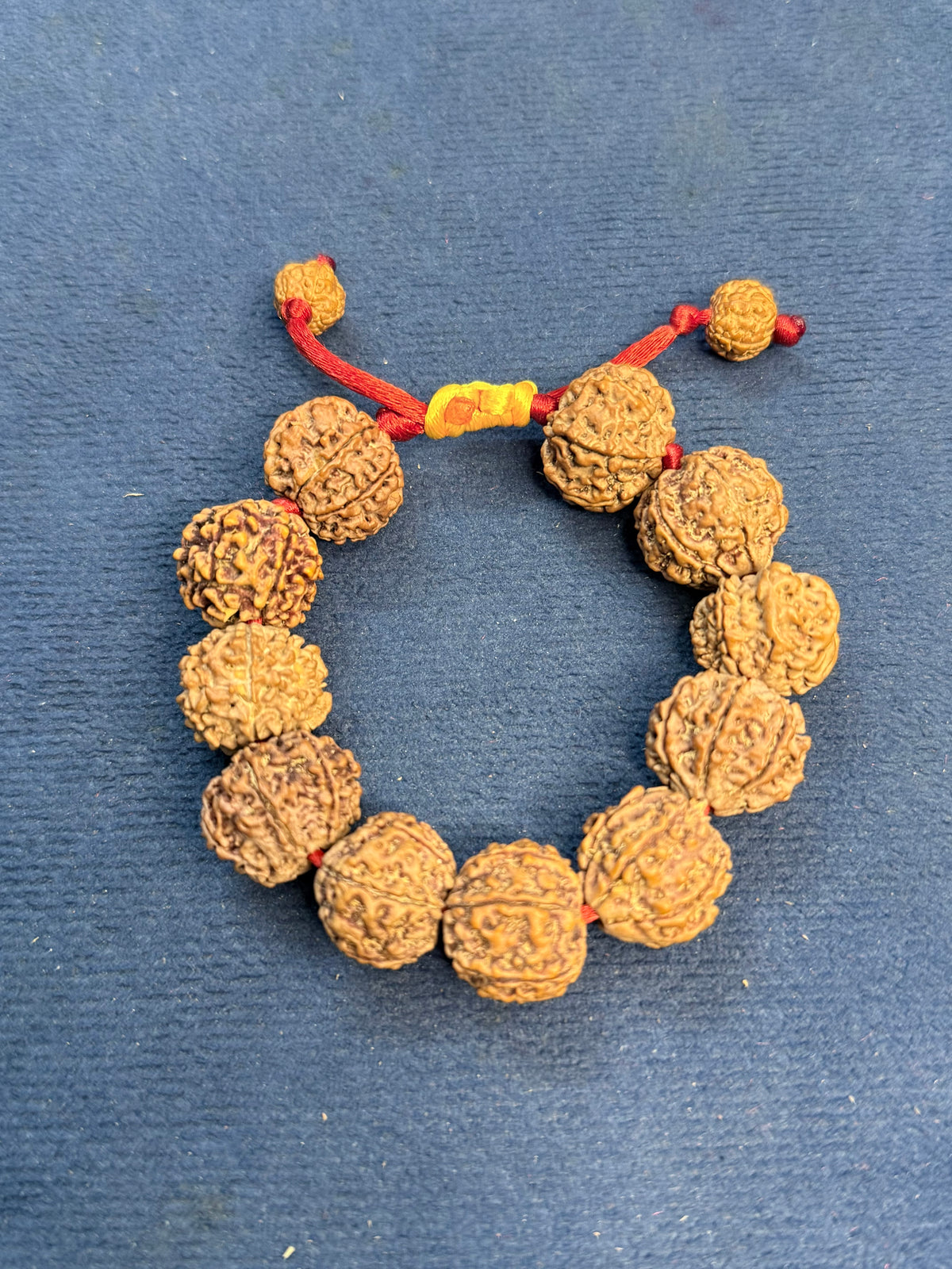 7 Mukhi Nepali Bracelet With certification and Xray