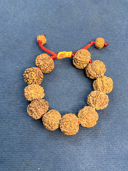 7 Mukhi Nepali Bracelet With certification and Xray