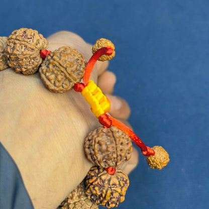 7 Mukhi Nepali Bracelet With certification and Xray