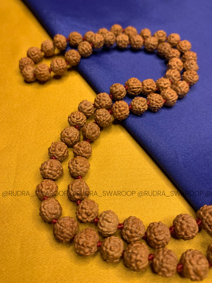 5 Mukhi Rudraksha mala 8mm in Premium Quality Chikna Bead