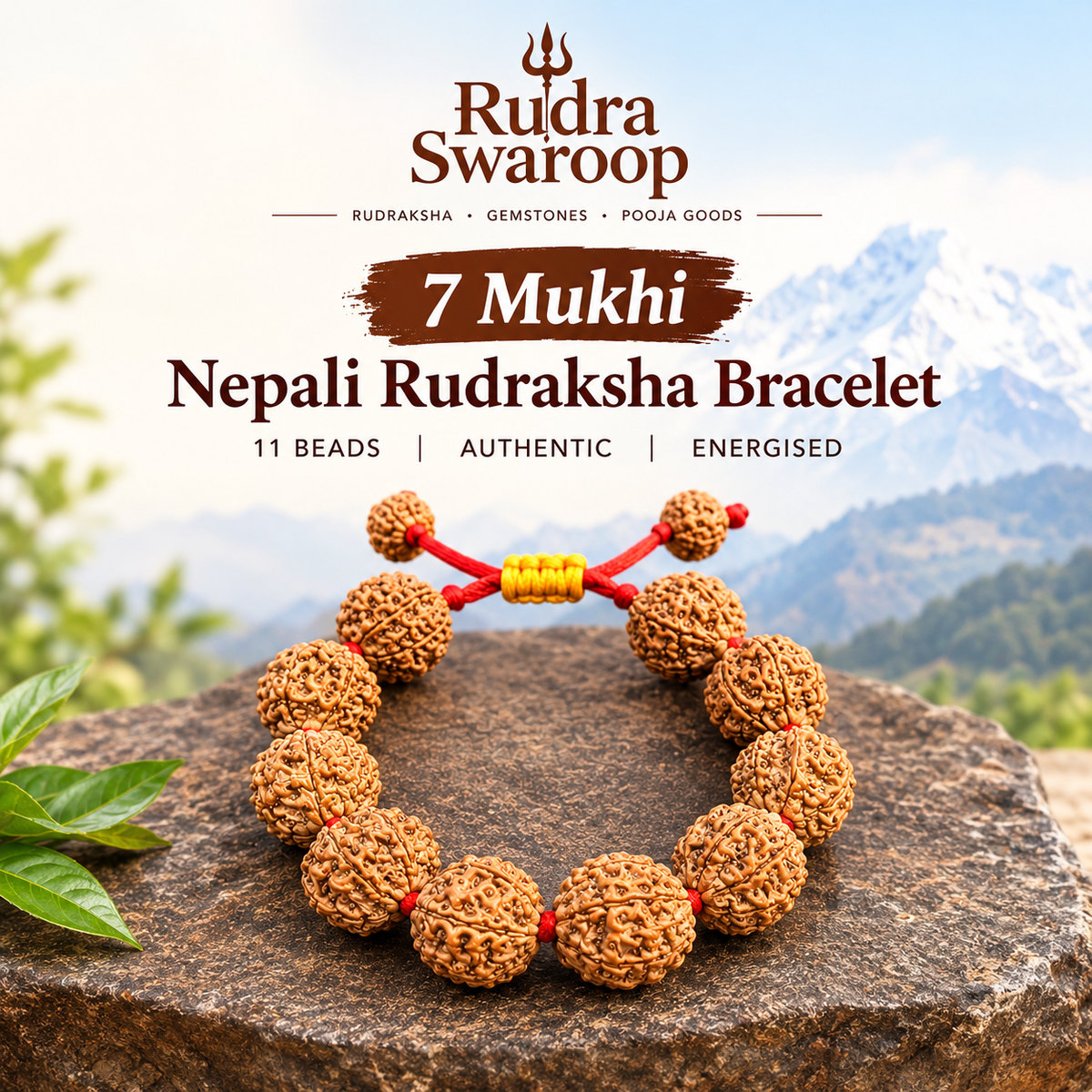 7 Mukhi Nepali Bracelet With certification and Xray