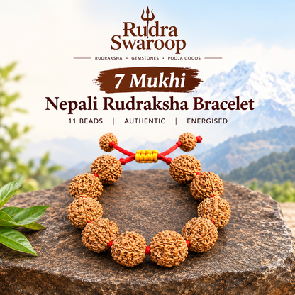 7 Mukhi Nepali Bracelet With certification and Xray