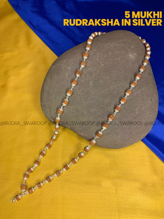 Silver 5 Mukhi  Rudraksha Mala (54+1) Beads 6mm