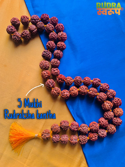 5  Mukhi Rurdraksha Kantha in (54+1 Beads) in Premium Quality