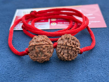 Wealth & Wellness Rudraksha Kawach