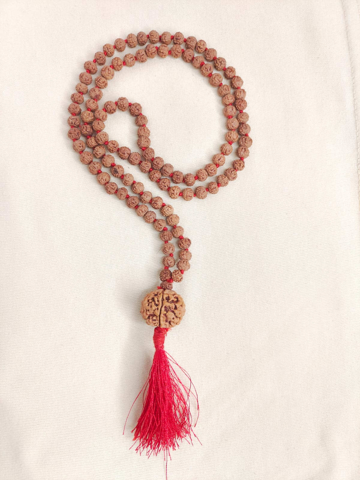 7 mukhi nepali with 5 mukhi indonesian rudraksha Mala