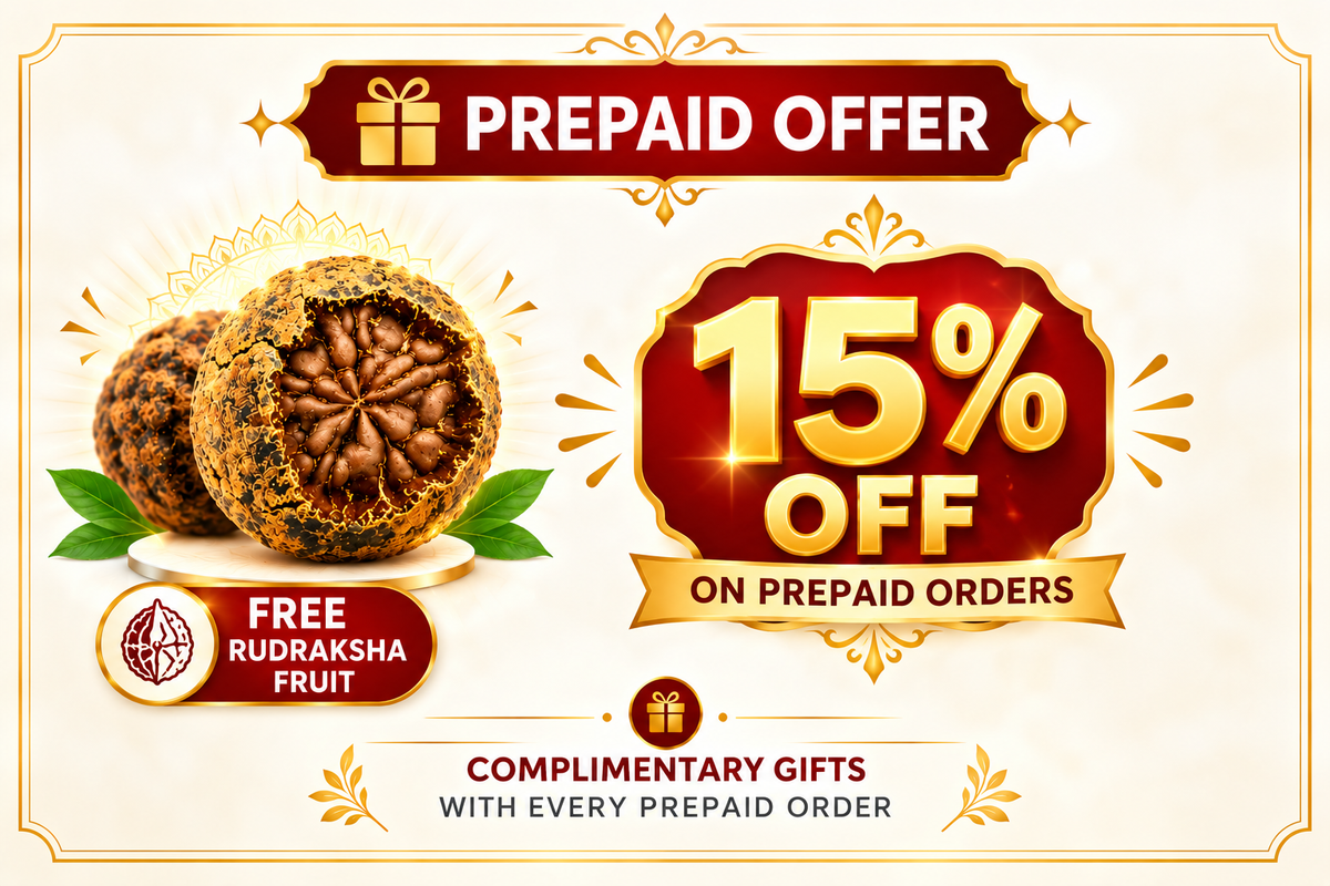 5 Mukhi & 7 Mukhi Rudraksha Kawach | Nepal Origin | Hari ki Pauri Abhimantrit | X-Ray Certified