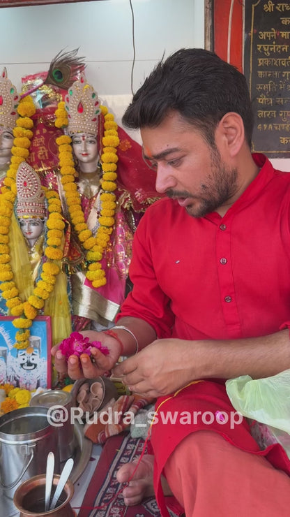 7 Mukhi Nepali Rudraksha - Saat Mukhi