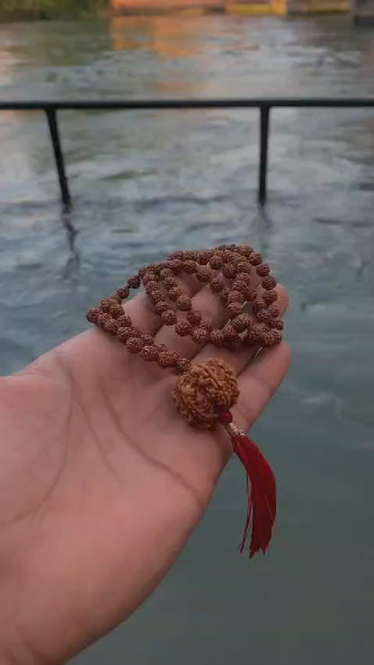 7 mukhi nepali with 5 mukhi indonesian rudraksha Mala